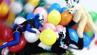 Big Balloon Pop Exposure Therapy for Ekko 😇