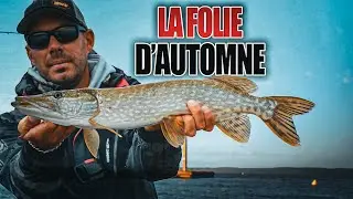 La folie d'automne #foxrage #garza #fishing