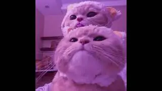 Озвучка фанфика по Соукоку 