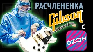 GIBSON с OZON 
