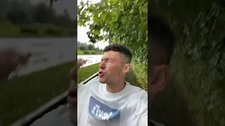 лужи это святое?