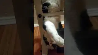 Кусакин Вениамин Михайлович 🐱 Сладкая мордашка, пушистые штанишки)))