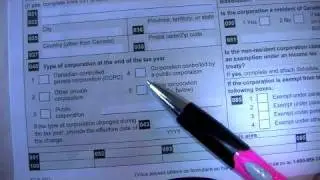 Income Tax Preparation Structure of T2 tax return