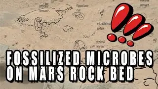 Curiosity Spots Potential Signs Of Microbes On Mars Rock Bed