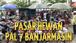 Pasar hewan pal 7 Banjarmasin