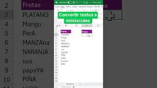 Convert text to lowercase in Excel 