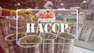 Sistema HACCP y PRINCIPIOS en 9 minutos | ✅🏭