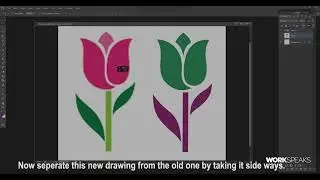 Tracing a image using vector shape tool in Photoshop
