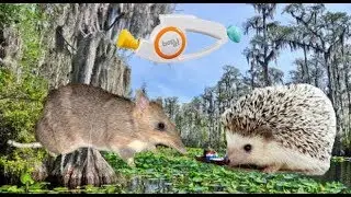 Inappropriate Bop-It  -  Reading Fanfic while playing Ty the Tasmanian Tiger 2 Ep 6