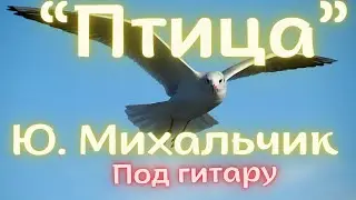 Птица, Михальчик под гитару
