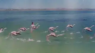 Cheminement sur l'étang de St Nazaire