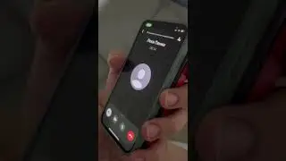 Панин Алексей и Киркоров🤣#шортс#юмор