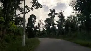 Coorg - road trip
