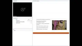 Гипотиреоз собак. Этиология. Диагностика. Клинические признаки. Лечение.