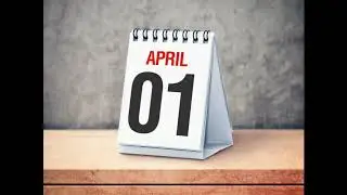 Cactus Head - April Fool