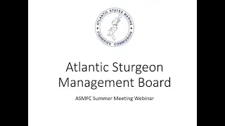 Atlantic Sturgeon Board Audio August2024