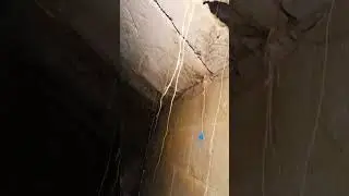 Exploring Hidden Tunnels Under Canada's Most Haunted Abandoned Asylum
