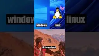 Only IT Professionals Knows.. #coding #memes #viral #reels