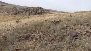 Кабк шикор 2020 Акаи Илхом Казахстан