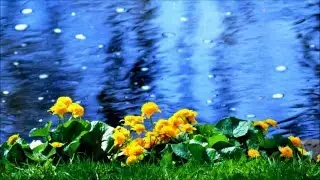 Wild Nature /  Дикая природа (Цветы)