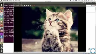 Инструкции Linux - #21 урок. Cкачивание файлов из интернета.Wget