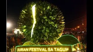 Indonesia,  fruit Durian, delight or disappointment. фрукт Дуриан, восторг или разочарование.