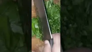 #cutting #spinach #asmrchannel #choppingboard #cuttingskills #shorts