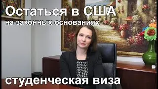 Как остаться в США законно? Учёба и работа по студенческой визе F1