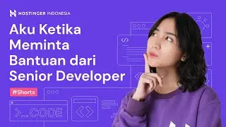 Aku Ketika Meminta Bantuan dari Senior Developer 