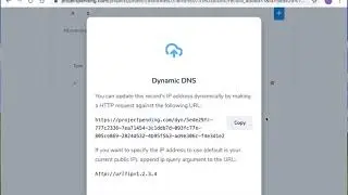 Dynamic DNS with Project Pending
