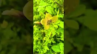 Shot on iPhone  