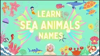 SEA ANIMALS NAMES  FOR KIDS| BEST EDUCATIONAL VIDEOS FOR TODDLERS|2-7 YEARS| VOCABULARY|SLOW PACED|