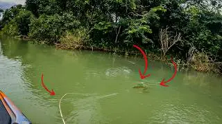 É TANTO PEIXE QUE ATÉ BRIGAM PELA ISCA!!! Pescaria.