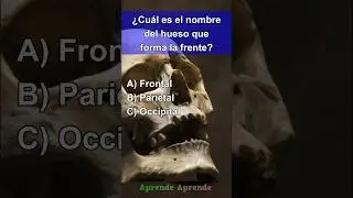 Quiz Cuerpo Humano 4 #quiz #quiztime #cultura #fypシ #fypシ゚viralシ #culturageneral  #fypシ #fypシ゚viral