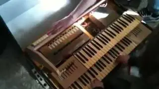 Эстрадин-9