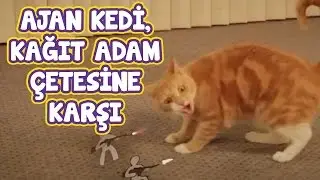 Komik Kediler: Ajan Kedi Kağıttan Adamlara Karşı