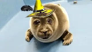We were forced to play Wizard101 for 1 month