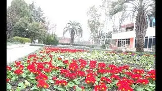 🌴Отдыхаем в санатории Южное Взморье