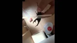 왕사 즉석투지 올리기^^