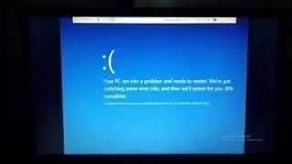 Mavis Crying Has BSOD
