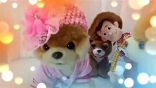 HILARIOUS Woody  And The Chicken! Joe & Lisa Kids Entertainment