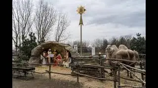 аудиоэнциклопедия Вопросы Веры и Фомы, Рождество Христово