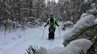 A Day Of Winter