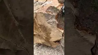 Вскрытие покажет что там 👈