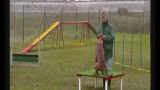 Tobia detto Scooby Doo.wmv