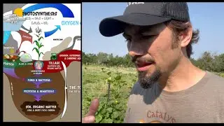 CO2 is the FUEL of Nature & Plants are the ENGINE with Matt Powers
