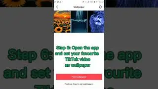 How to set live wallpaper with sound from TikTok videos