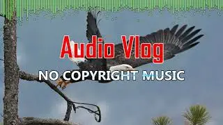 Takeoff - MBB | Audio Vlog - No Copyright Music