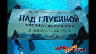 Кормление акул в Москвариуме