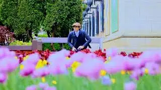 Peaceful Music | New Spring in Transylvania 🌷 Brasov, Romania